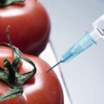 فناوری نانو در کشاورزی