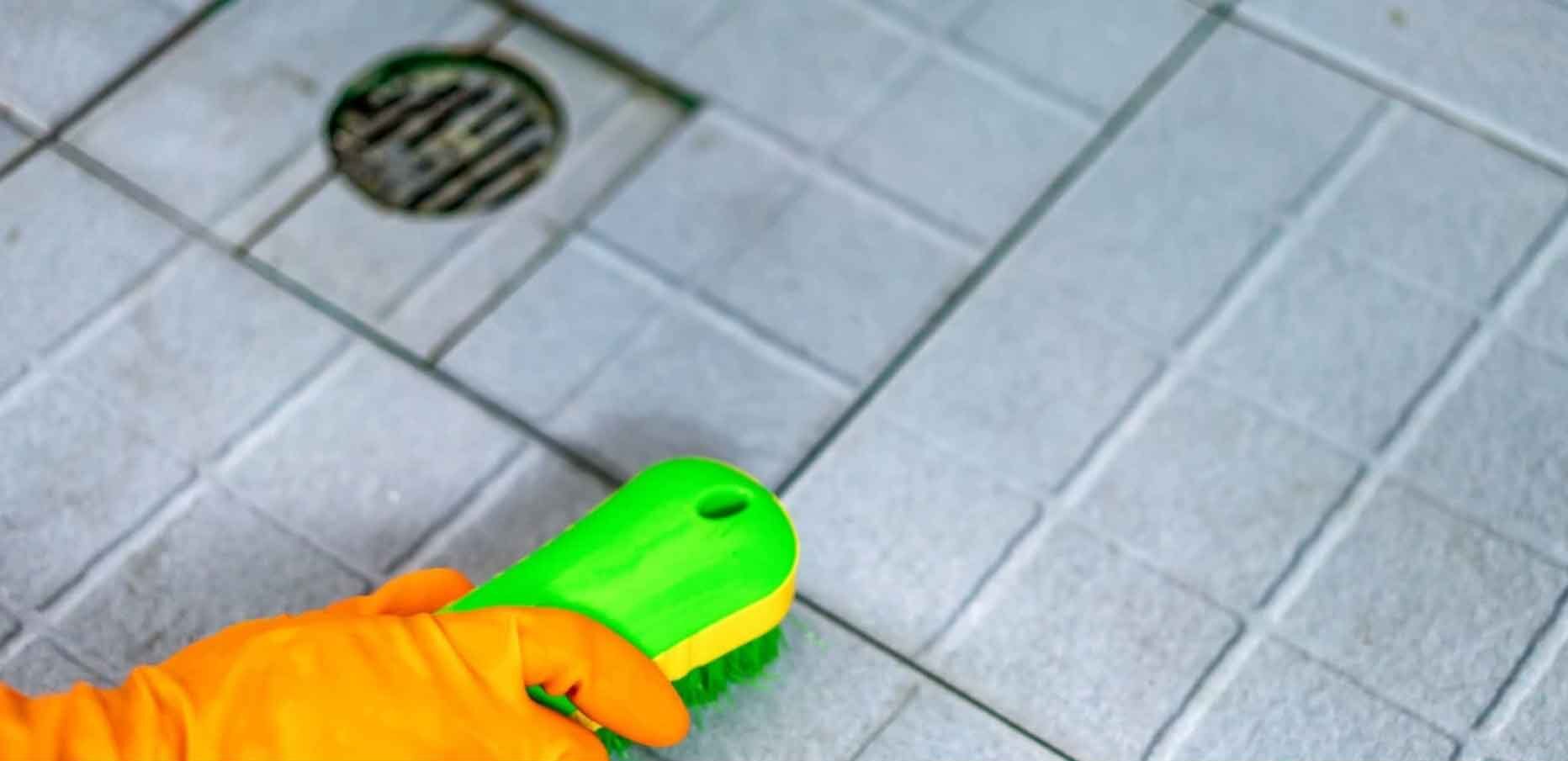 رفع شوره موزاییک